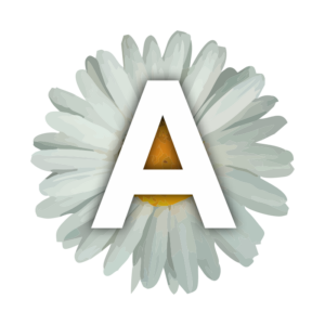 Artem74